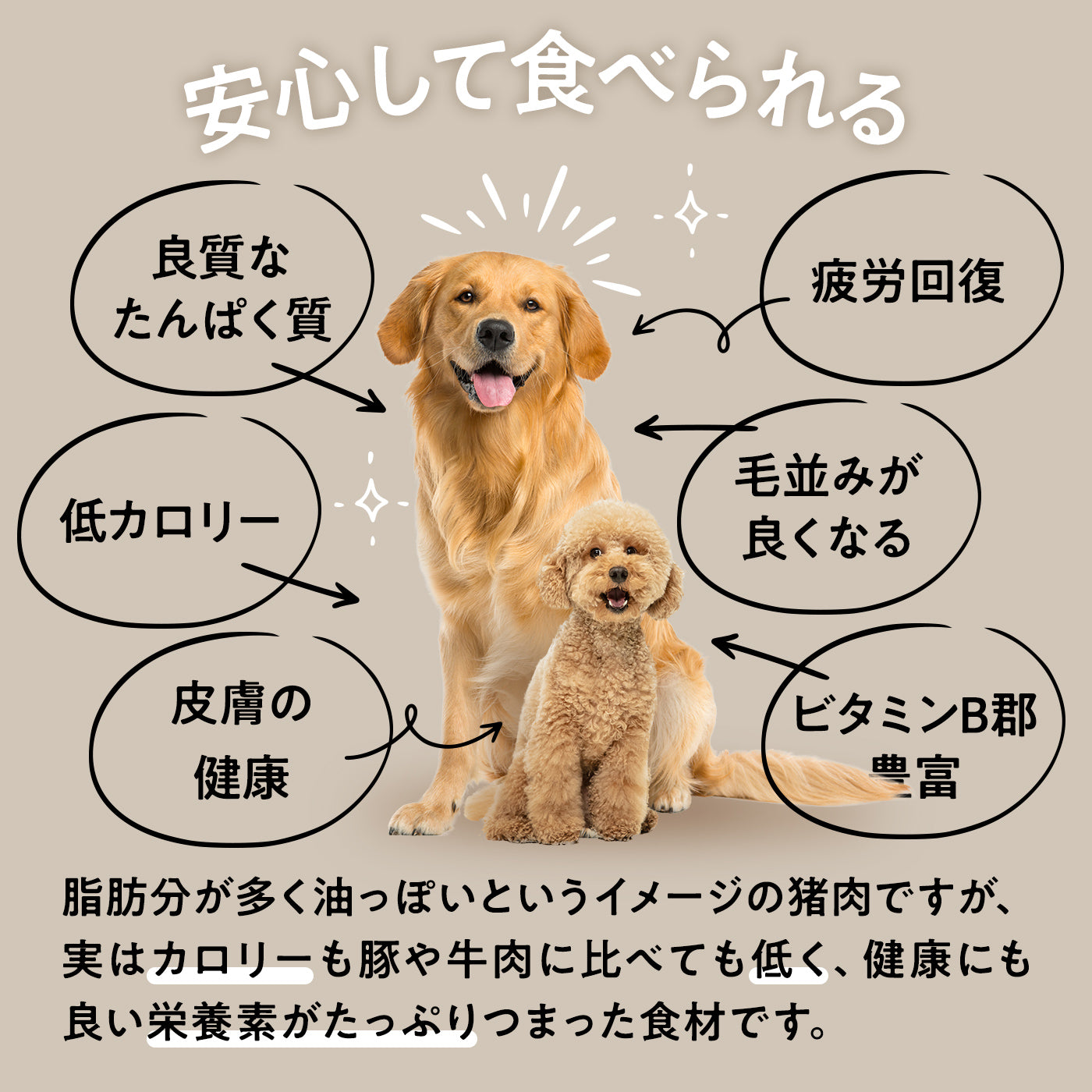 無添加 猪 ジャーキー(100g)【ドッグフード・自然素材・着色料】