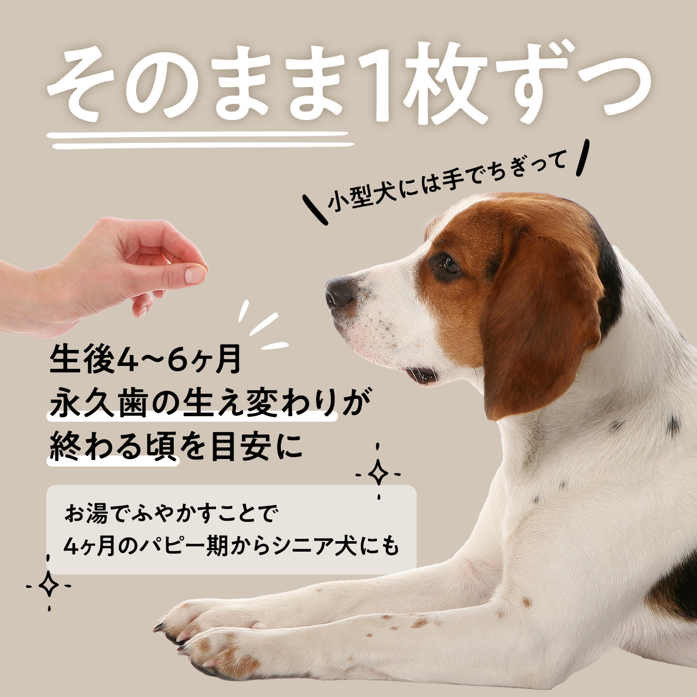 無添加 猪 ジャーキー(100g)【ドッグフード・自然素材・着色料】